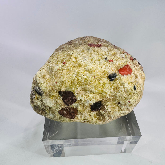 Michigan Puddingstone Specimen Green Matrix Red Jasper Quartzite Display Rock