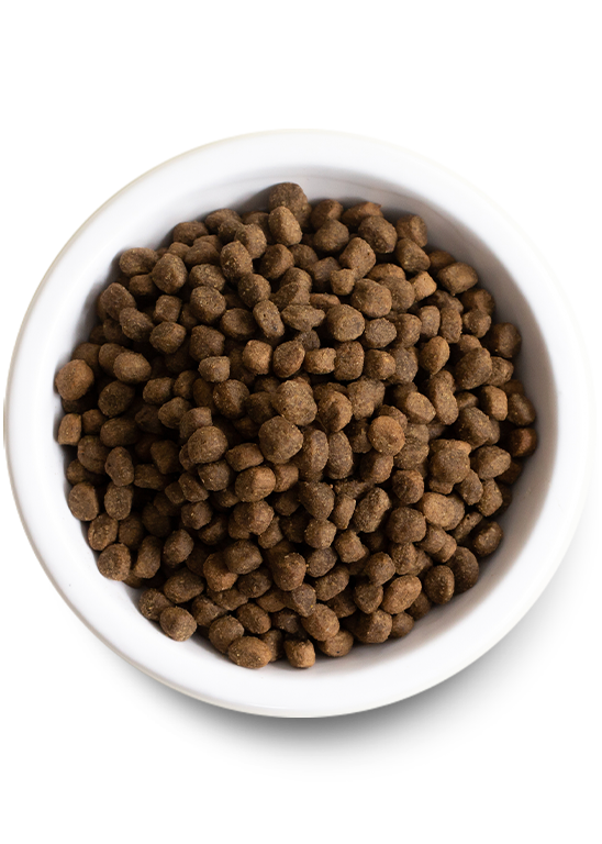 Open Farm Grain-Free Pastured Lamb Recipe Dry Dog Food