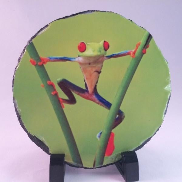 Round Shaped Rock Stone Frog Picture Photo Slate