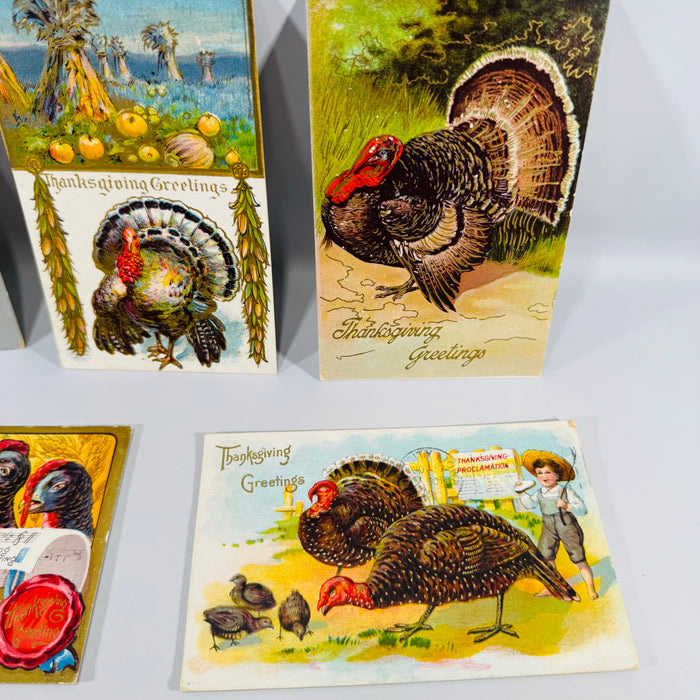 Vintage Thanksgiving Postcards Lot of 6 | Antique Edwardian Turkey Holiday Postcard Collection | Harvest Turkeys Pumpkin Proclamation 1908–1911